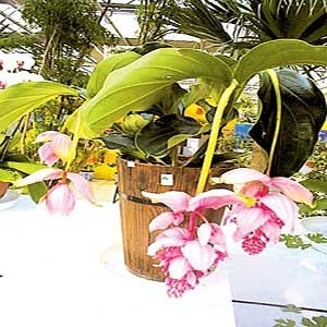 �����������黳 �����Ҿ�ˣ�������У�ͼ��