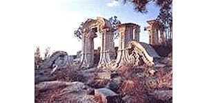 �Ž���׷�٣��������޹滮����