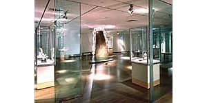 �������������