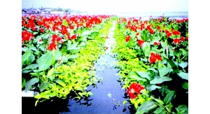 ������ˮ���� ����  ���︡����������(ͼ)