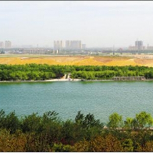 石家庄市14座渣土山绿化变美景 建筑垃圾不再搬家