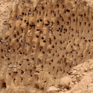 �������ӹ������� ʩ����ͣ��������