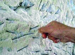 ����Ƥǽ���粨����