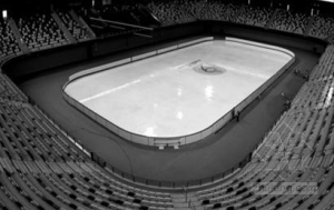 �ɴˡ��������ڡ��������ְҵ���ĵ��״λ���������