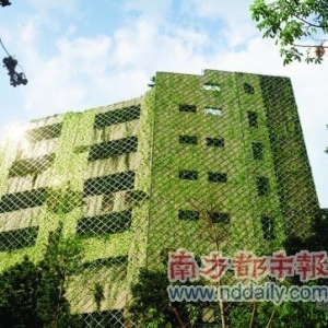 ��β¥ȫ����������ɫ���ϡ�