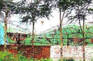 ����һ����¥��֧�ܵ��� 14����������