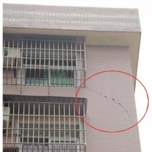 ���ݽ���һס¥���ֶദ�ѷ�