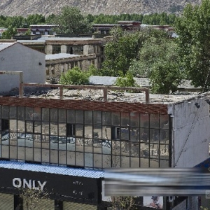 ���������ֵ�����Υ�½���