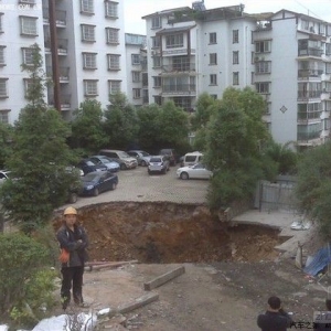 ������ʨС��ͣ���������ɸ��ӵ����������