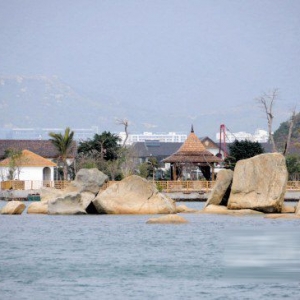 ���ϻʹ����������������š��ݻ�����������;