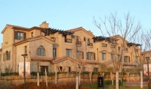 ��֣�������������Υ��ʩ������æ