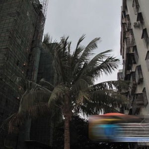 �������´�һ��������ҹ��ʩ�� ��������