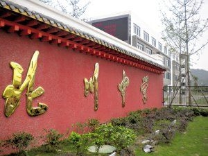 �����������ݻ�10����Ѯ����