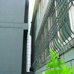 ����һС������ţ�Ϸ���������������