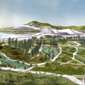 ��������԰��ַ�ܱ�Υ��������ǿ�Ʋ��