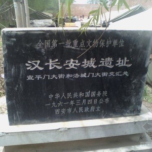 ����������Υ����������ͣ 3����ɲ��ѱ���