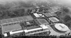 �����������ݡ�ʮһ����������