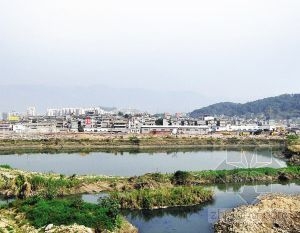 ����ƽ����Υ�½�����ǿ�� ��ͤ�����¿���