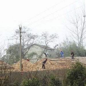 Υ��������ԭ���ؽ� ��ɲ���ǣ���쵼���㱨