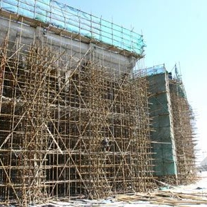 �������������������ƥ��ɭ�ֹ�԰��������