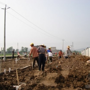 ƽ������