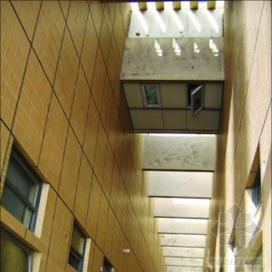 �Ͼ�¥�̾���ʷ����ţΥ����21¥�����ս���