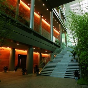 �׶�������¹�