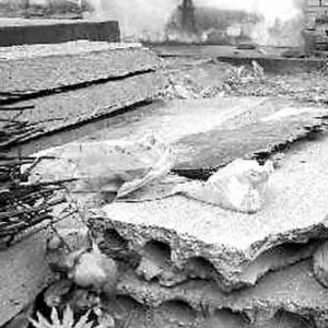 ���ѵ�¥��