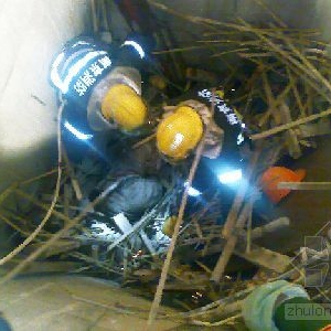 �����ڽ��ﵹ�����˱��� �Ͼ������ɹ���Ԯ