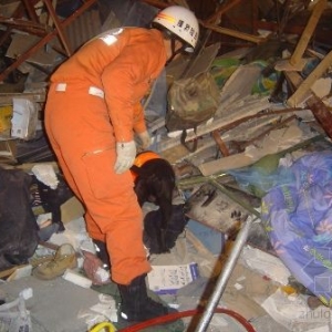 ��ҹ����̮�������������Ѿ�Ȯ��������Ѫ��