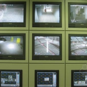 �ڴ��Ժ�ĸ������䶼��������ͷ