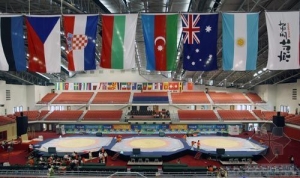 ˤ�ӹݰ���ʹ�ò�����