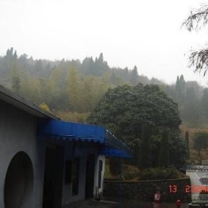 �⼸����ͨ��С�ţ���ߵ��Ǹ���