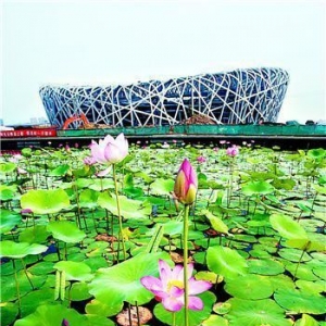 ���˽������й��������¿Ƽ��Ľ��