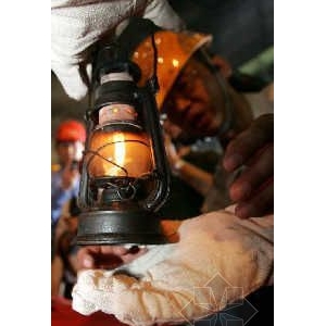 ����ֳ����Ż��ָ������԰