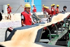 ����ɳ�ų���������ɳ