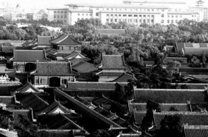 ��������Ŀ��������޶ȵر��ֹ�