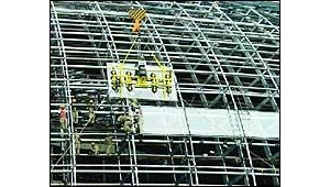 ����³�ڹ��Ҵ��Ժ�����л�߶�Ӷ�𱻾ٱ�