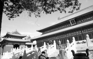 �������������������������ɿ���