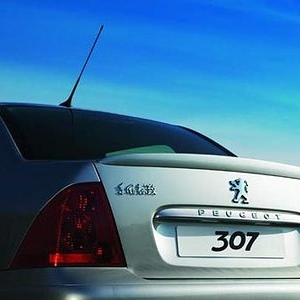 �������307��������ɴ �ƻ�4��������������