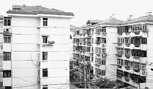 �ҹ��������¥����ƽ���¡� ר���б������