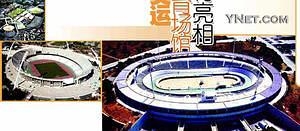 ��������ŵ���������������