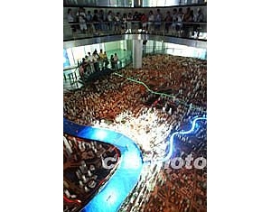 �Ϻ�����ɳ����������֮��(ͼ)