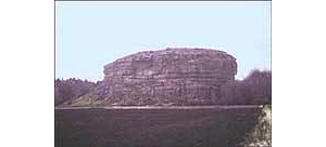 ��ʯ��԰Pompeyʯ��