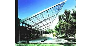 �۹���������