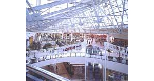 ����2002���������������(��ͼ)