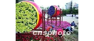 ����԰�չ������軨�����ֵ�(ͼ)