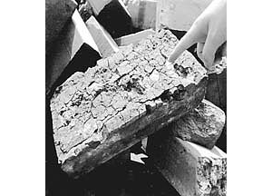 �е��³�ש��ֱ���ǡ���������