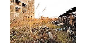 ¥�ߵ�é�ݳ���һ�˶��