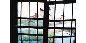 ͸�������Ĺ������һ����ɭɭ